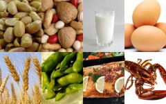 8 common allergens